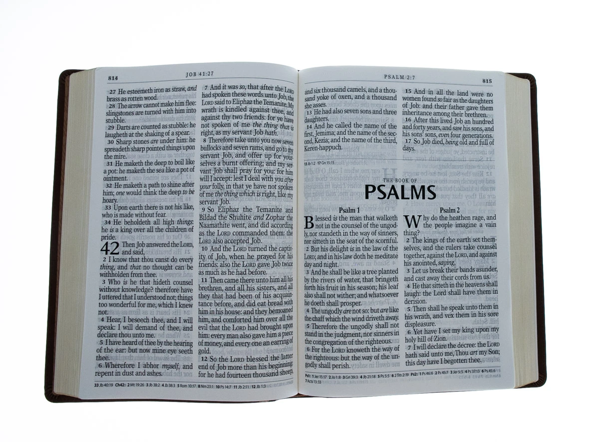 KJV Bible Super Giant Print Tan 6 KJV Bible Super Giant Print Tan - Image 4