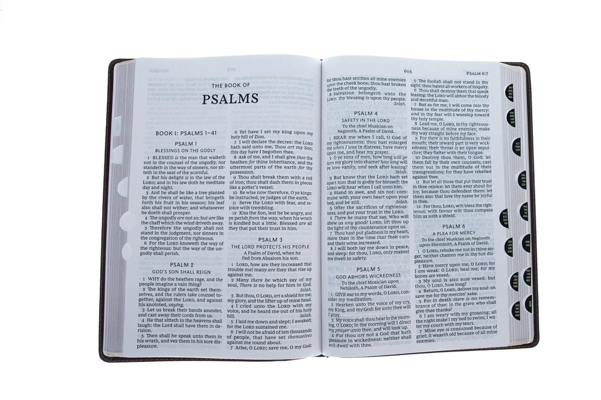 KJV Giant-Print Thinline Bible, Comfort Print -Leather-look, Brown Indexed 5 KJV Giant-Print Thinline Bible, Comfort Print -Leather-look, Brown Indexed - Image 3