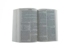 NIrV Pathlight: A Camper’s Bible, Paperback -Books-Bible 209 0052 4