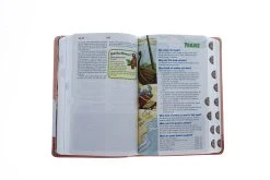 NIRV Adventure Bible For Early Readers Pink With Llamas 9 NIRV Adventure Bible For Early Readers Pink With Llamas -Books-Bible 209 0059 3