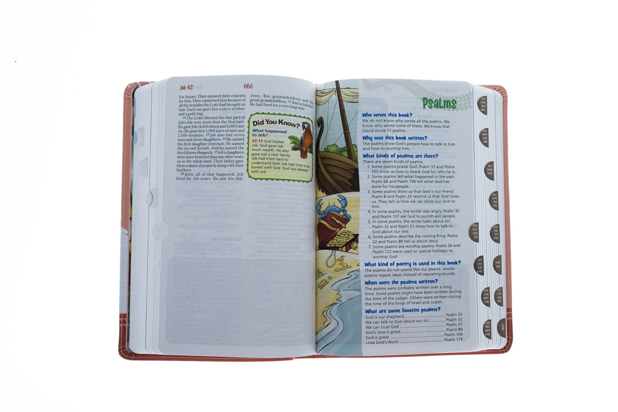 NIRV Adventure Bible For Early Readers Pink With Llamas 5 NIRV Adventure Bible For Early Readers Pink With Llamas - Image 3