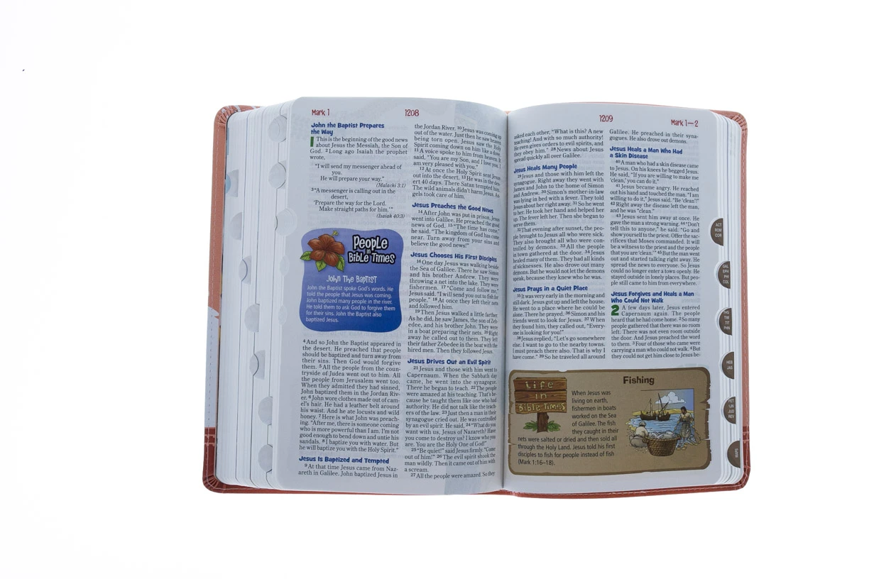 NIRV Adventure Bible For Early Readers Pink With Llamas 6 NIRV Adventure Bible For Early Readers Pink With Llamas - Image 4