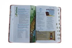 NIV Adventure Bible Leathersoft – Coral 10 NIV Adventure Bible Leathersoft – Coral -Books-Bible 209 0060 3