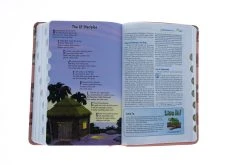 NIV Adventure Bible Leathersoft – Coral 12 NIV Adventure Bible Leathersoft – Coral -Books-Bible 209 0060 5