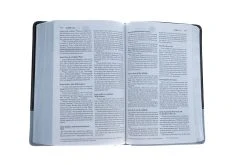NIV Couples Devotional Bible-Chocolate/Silver Duo-Tone -Books-Bible 210 0160 6