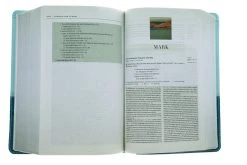 NIV Zondervan Study Bible, Personal Size Leathersoft, Light Blue/Turquoise -Books-Bible 210 0167 4