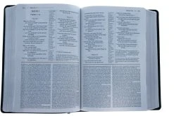 NIV Grace And Truth Study Bible, European Bonded Leather -Books-Bible 210 0309 3
