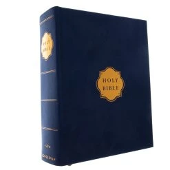 NIV, Our Family Story Bible, Leathersoft Over Board, Navy,