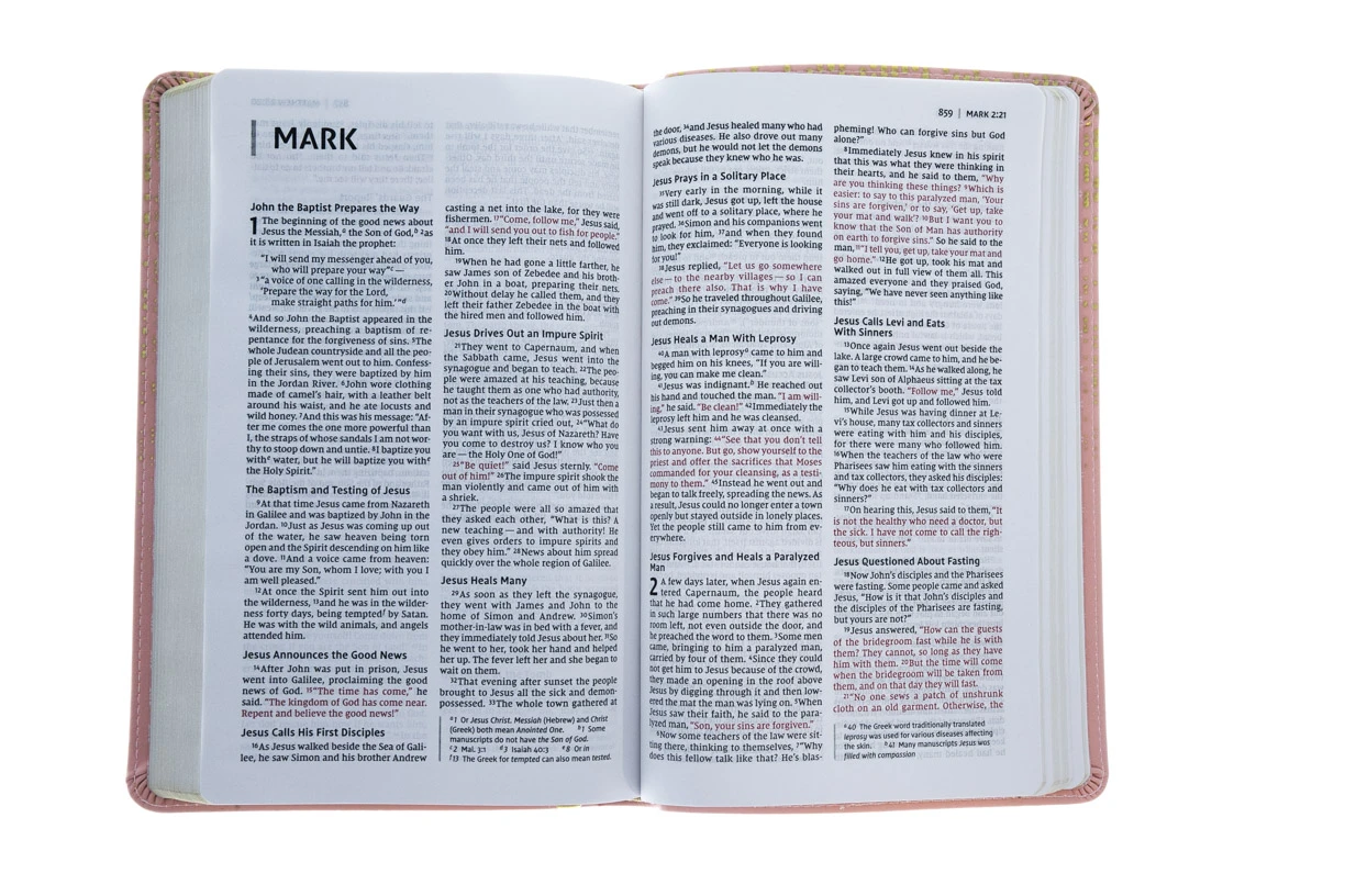 NIV, Bible For Teens, Thinline Edition, Leathersoft, Pink 7 NIV, Bible For Teens, Thinline Edition, Leathersoft, Pink - Image 5