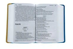 NIV Giant-Print Compact Bible For Boys, Leather-look, Blue/Yellow -Books-Bible 210 0577 3 2