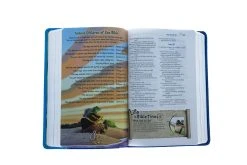 NIV Adventure Bible, Imitation Leather -Books-Bible 210 0608 3