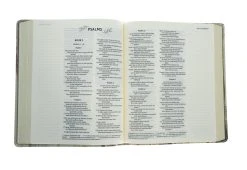 NIV Artisan Collection Bible Multi-Color/Cream -Books-Bible 210 0609 3