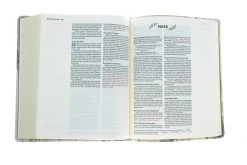 NIV Artisan Collection Bible Multi-Color/Cream -Books-Bible 210 0609 4