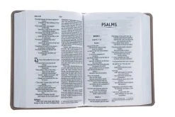 NIV Larger Print Compact Leathersoft Pink Bible -Books-Bible 210 0611 3 1