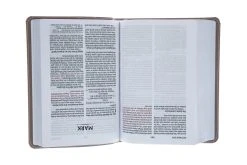 NIV Larger Print Compact Leathersoft Pink Bible -Books-Bible 210 0611 4 1