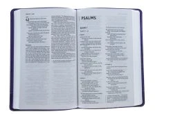 NIV Bible For Kids Purple Leathersoft -Books-Bible 210 0612 4