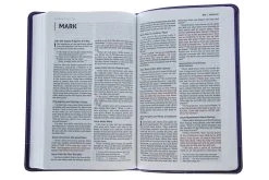 NIV Bible For Kids Purple Leathersoft -Books-Bible 210 0612 5