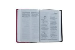 NIV Compact Bible Chocolate / Hot Pink -Books-Bible 210 0613 2