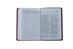 NIV Compact Bible Chocolate / Hot Pink -Books-Bible 210 0613 3