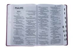 NIV Super Giant Print Reference Bible, Leathersoft, Pink -Books-Bible 210 0615 3