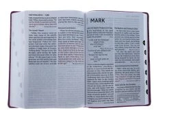 NIV Super Giant Print Reference Bible, Leathersoft, Pink -Books-Bible 210 0615 4
