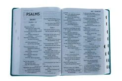 NIV Super Giant Print Reference Bible, Leathersoft, Teal 11 NIV Super Giant Print Reference Bible, Leathersoft, Teal -Books-Bible 210 0616 7