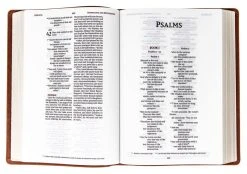 NIV Wide Margin Bible, Leathersoft, Brown -Books-Bible 210 0623 1