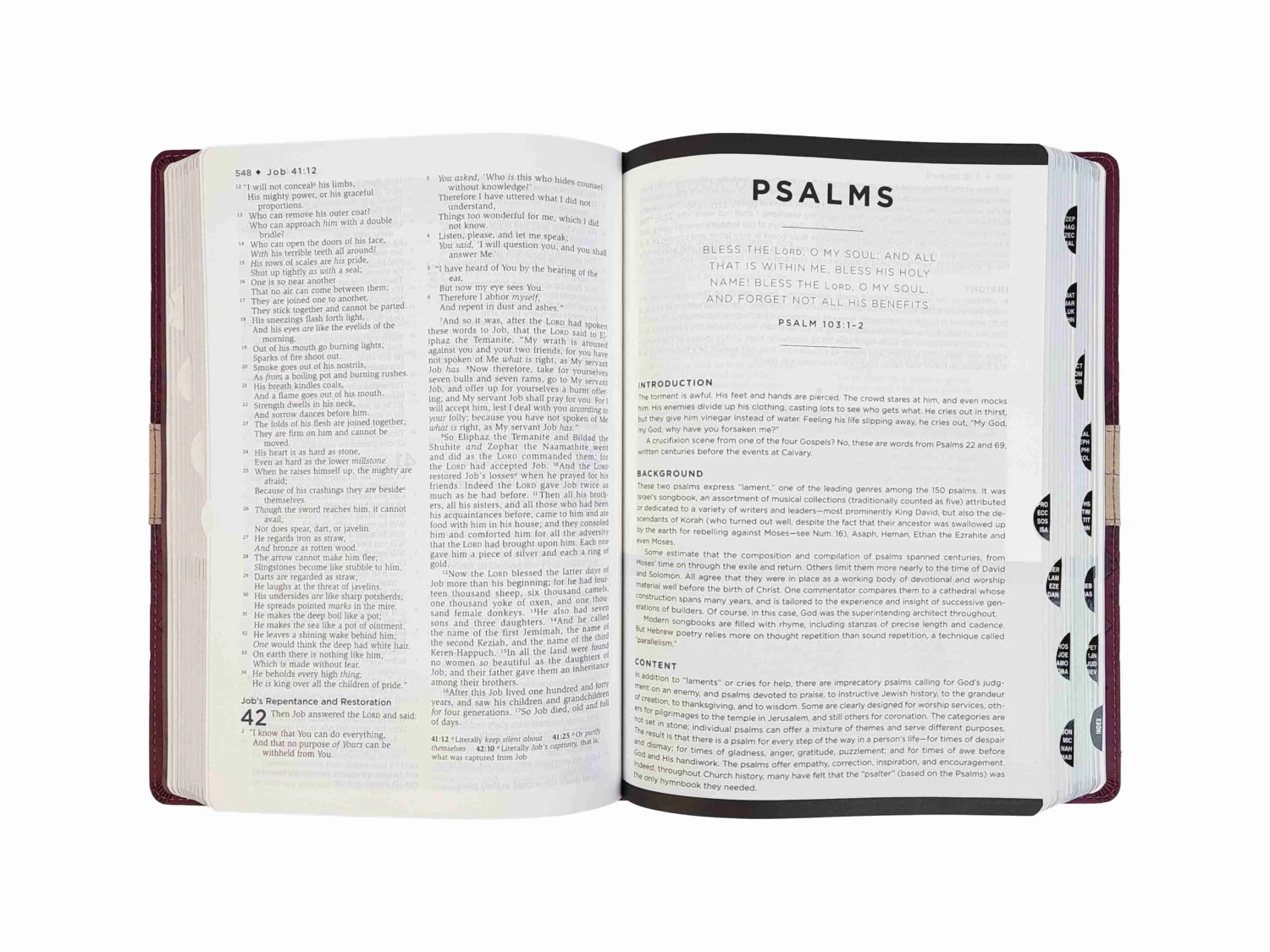 NIV Life Application Study Bible 4 NIV Life Application Study Bible - Image 2