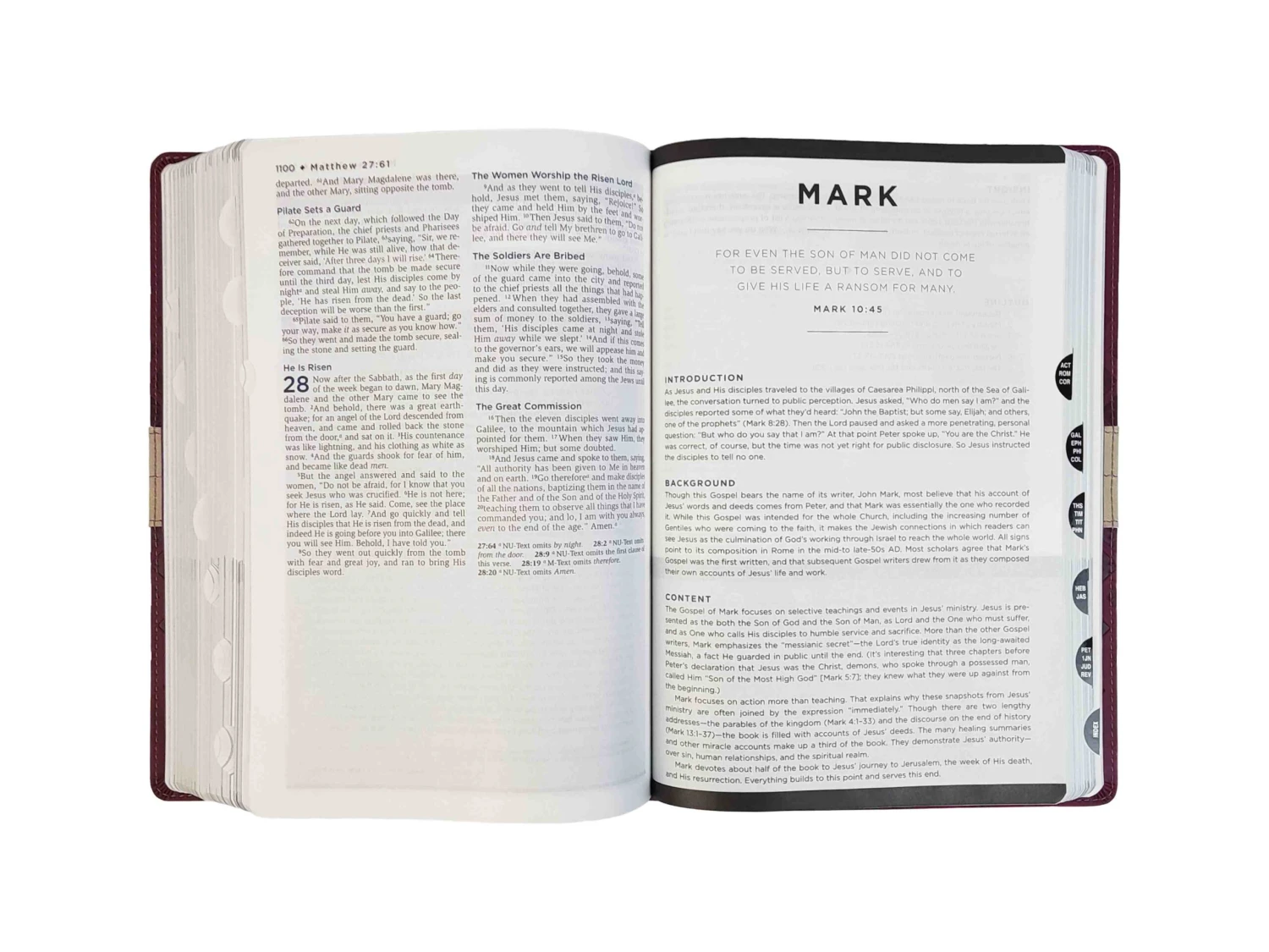 NIV Life Application Study Bible 5 NIV Life Application Study Bible - Image 3