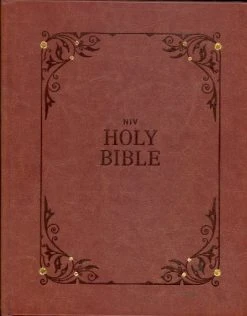 NIV Our Family Story Bible