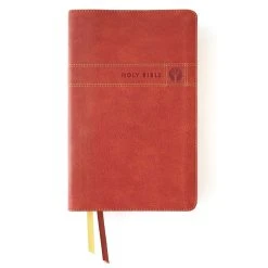 NIV Men’s Devotional Bible, Leathersoft Brown