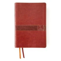 NIV Student Bible, Leathersoft, Brown