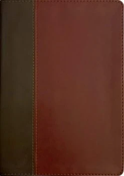 KJV Life Application Study Bible, Third Edition -Books-Bible 210 0654 1