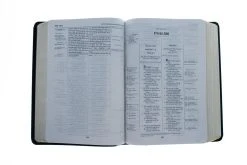 NKJV, Thompson Chain-Reference Bible, Bonded Leather -Books-Bible 211 0210 3