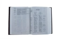 NKJV, Thompson Chain-Reference Bible, Hardcover, Red Letter -Books-Bible 211 0211 2