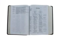 NKJV, Thompson Chain-Reference Bible, Leathersoft, Brown, Red Letter -Books-Bible 211 0212 3