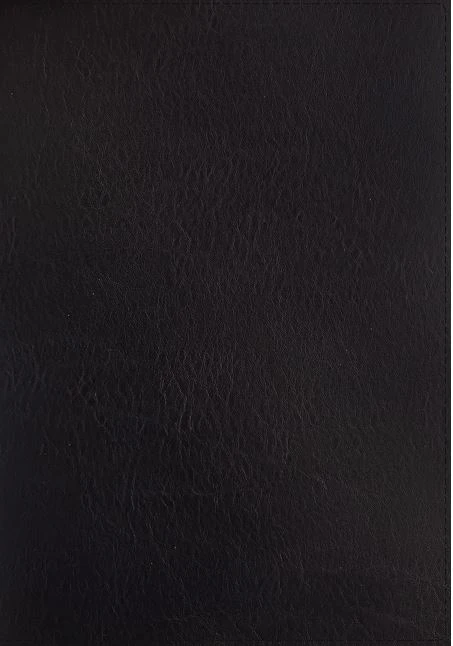 NKJV Thompson Chain-Reference Bible – Black 3 NKJV Thompson Chain-Reference Bible – Black