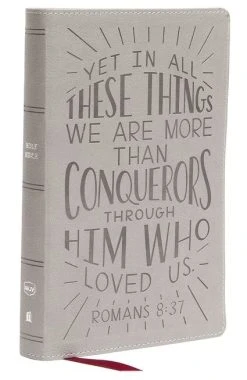 NKJV Holy Bible For Kids, Verse Art Cover, Gray