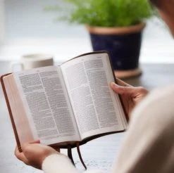 Front Page -Books-Bible 211 0240 1