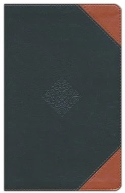 Front Page -Books-Bible 211 0251 1