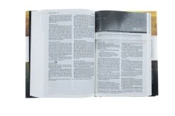 NLT New Believer’s Bible Hardcover -Books-Bible 212 0031 3 1