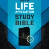 NLT Boys Life Application Study Bible, Tutone