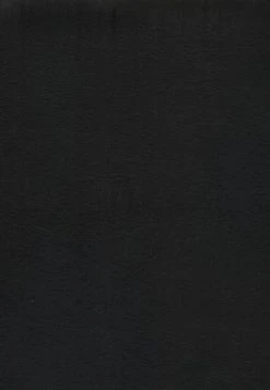 NLT Bible Giant Print Bonded Leather Indexed