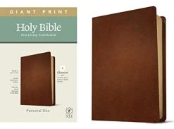 NLT Personal Size Giant Print Bible