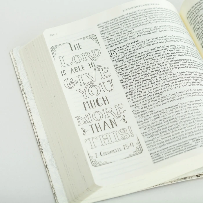 Inspire Bible-NLT: The Bible For Creative Journaling 5 Inspire Bible-NLT: The Bible For Creative Journaling - Image 3