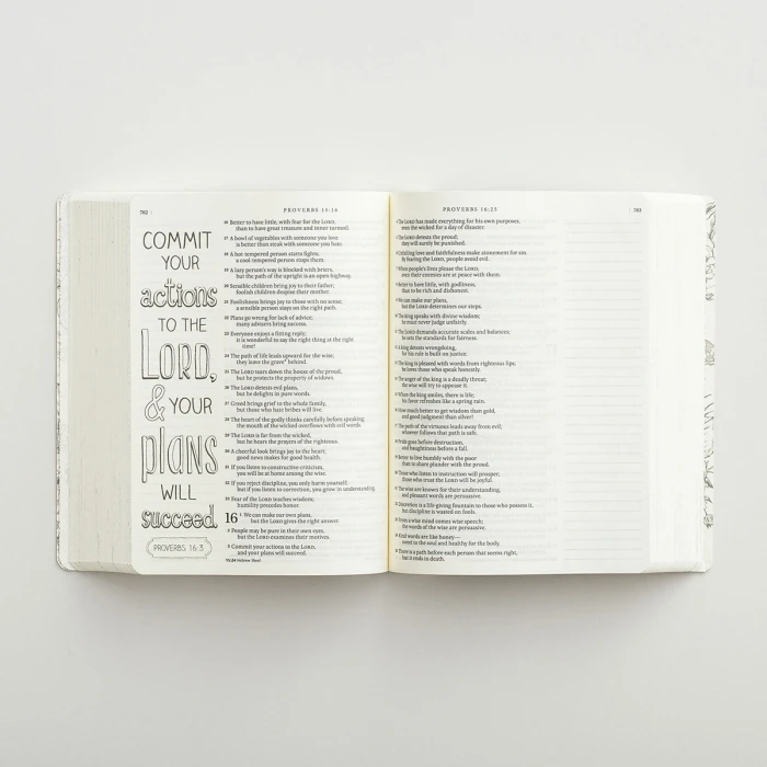 Inspire Bible-NLT: The Bible For Creative Journaling 7 Inspire Bible-NLT: The Bible For Creative Journaling - Image 5