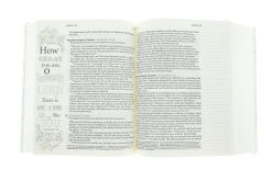 NLT2 One Year Chronological Bible Creative Expressions -Softcover -Books-Bible 212 0149 2