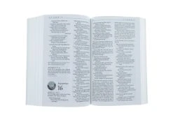 NLT One Year Bible -Books-Bible 212 0156 4