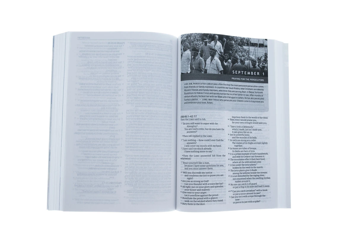 The One Year Pray For The Persecuted Bible NLT (Softcover) 6 The One Year Pray For The Persecuted Bible NLT (Softcover) - Image 4