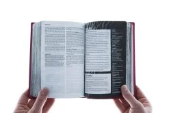 NLT Teen Life Application Study Bible, Compact Edition -Books-Bible 212 0182 5 1